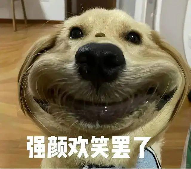 家电“不用时要拔插头”不然电费翻倍K8凯发集团供电局朋友提醒：这4种(图14)